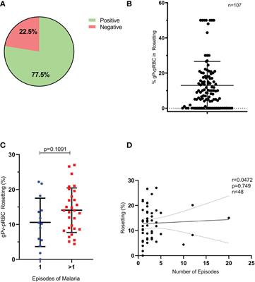 Rosette formation by Plasmodium vivax gametocytes favors the infection in Anopheles aquasalis